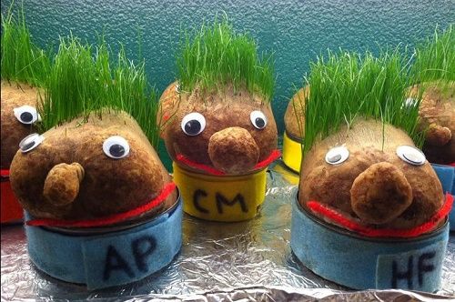 Игрушка-Голова-трава-Земля-Бадди-Earth-Buddy.jpg Игрушка-Голова-трава-Земля-Бадди-Earth-Buddy.jpg